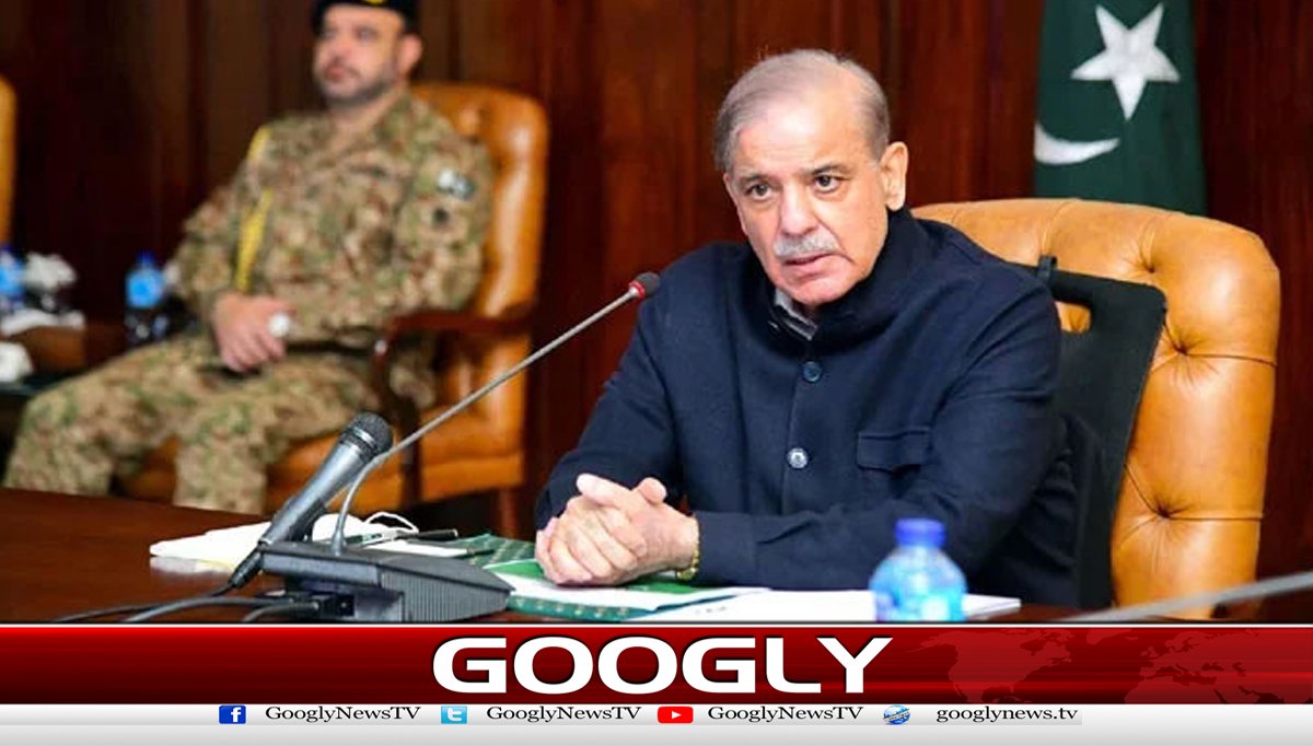 دہشت گردی کے چیلنج سے نمٹنے کیلئےوسائل درکارہیں،شہبازشریف