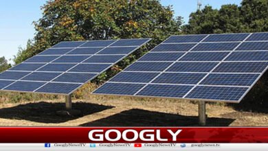 بجٹ سے قبل ہی سولر پینلز کی قیمتیں بڑھ گئیں 5 Solar panel prices increased even before the budget