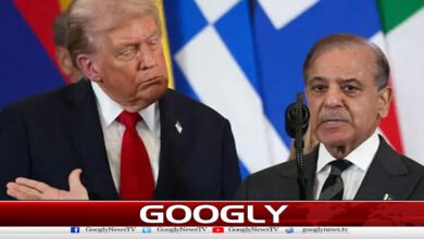 Due to the prudent leadership of Trump, America and Iran reached an agreement, Shahbaz Sharif