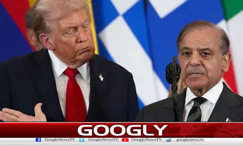 ٹرمپ کی مدبرانہ قیادت کے باعث امریکا اور ایران کامعاہدہ ہوا،شہبازشریف 1 Due to the prudent leadership of Trump, America and Iran reached an agreement, Shahbaz Sharif