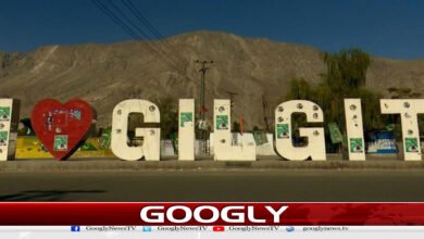 website Googly 10