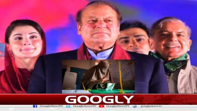 گلگت بلتستان انتخابات میں نون لیگ کیوں ہاری؟ 2 website Googly 108