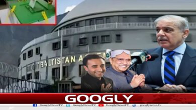 پیپلزپارٹی گلگت میں حکومت کیسے بنائے گی؟بڑافیصلہ ہو گیا 5 website Googly 135