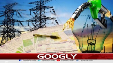 اگلے سال عوام کو کس مد میں کتنی سبسڈی ملے گی؟ 2 website Googly 136