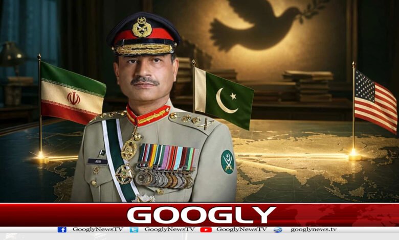 website Googly 164