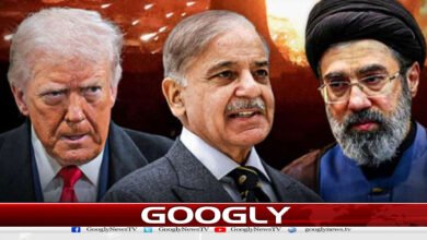 ایران امریکا امن معاہدے کی تقریب پاکستان کی بجائے جنیوا میں کیوں؟ 2 website Googly 167