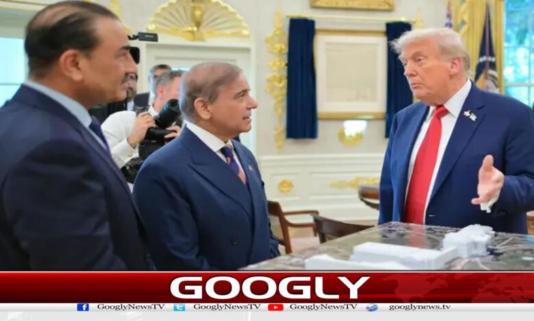 ایران امریکا امن معاہدے سے پاکستان کو کیا ملے گا؟ 1 website Googly 172