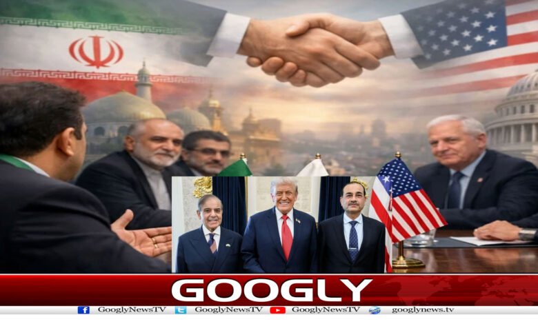 website Googly 203