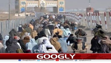 website Googly 221