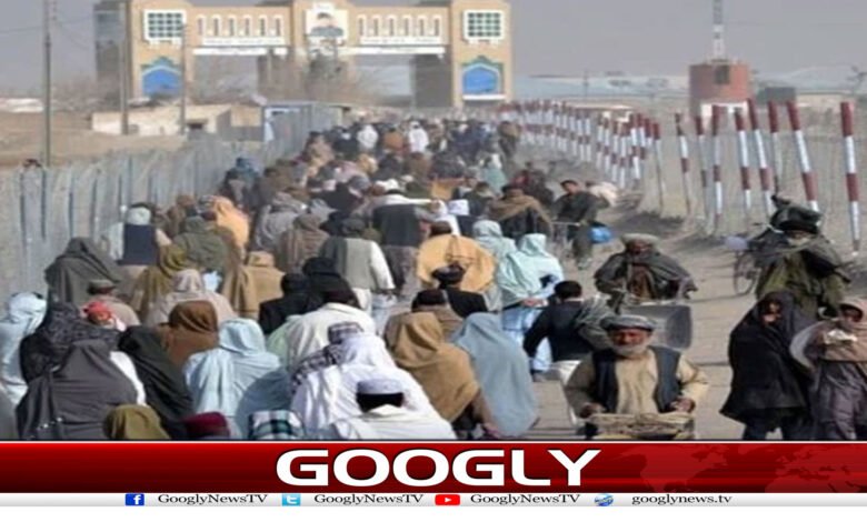 website Googly 221