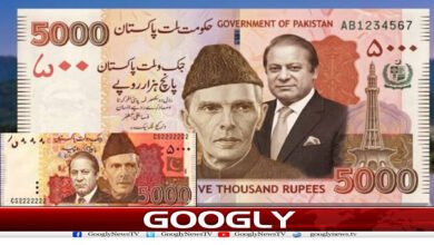 نون لیگ کرنسی نوٹوں پر نواز شریف کی تصویر کا مطالبہ کیوں کرنے لگی؟ 2 website Googly 230