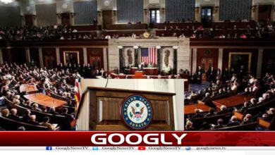 website Googly 241