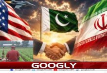 website Googly 244