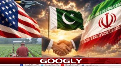 ایران امن معاہدے سے امریکی کسانوں کے مالا مال ہونے کا امکان کیوں؟ 5 website Googly 244