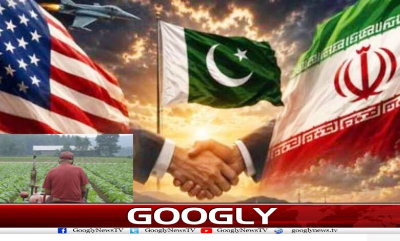 website Googly 244