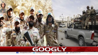 website Googly 249