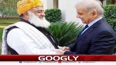 وزیراعظم شہباز شریف اور مولانا کے مابین راز کی کیا باتیں ہوئیں؟ 5 website Googly 251