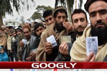 website Googly 256