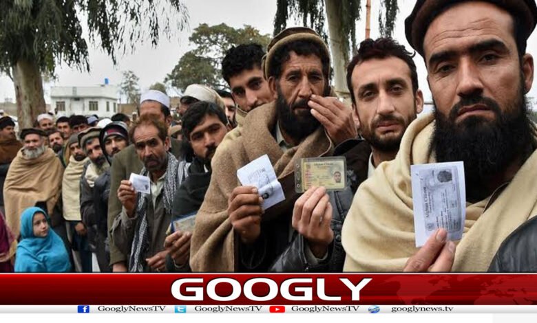 ڈالرز کیلئے افغانی بننے والے پاکستانی اب مشکل میں کیوں؟ 1 website Googly 256