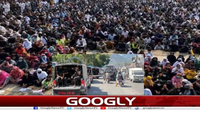 website Googly 276