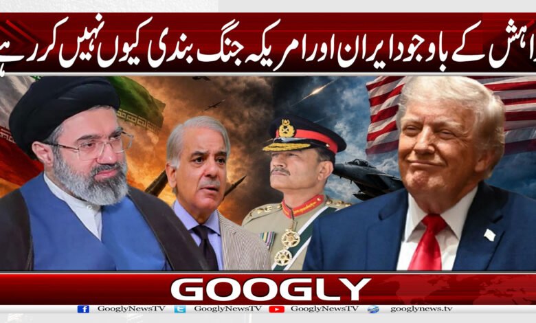website Googly 31