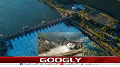 website Googly 316