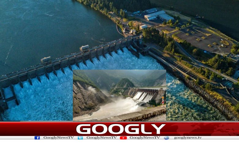 website Googly 316