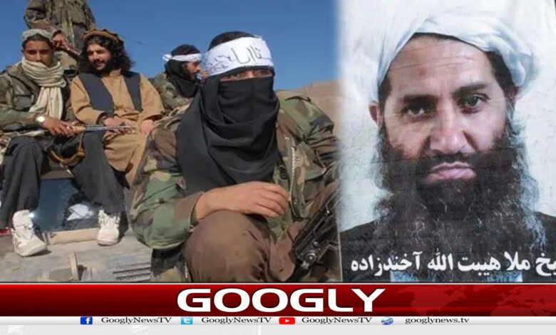 طالبان امیر نے ٹی ٹی پی کو کھلی وارننگ کیوں دی؟ 1 website Googly 5