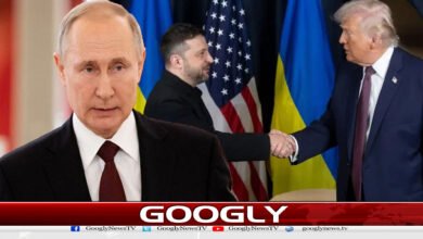 website Googly 53