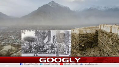 website Googly 80