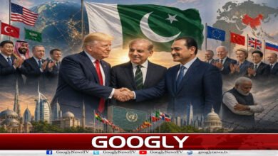 website Pic 1 35