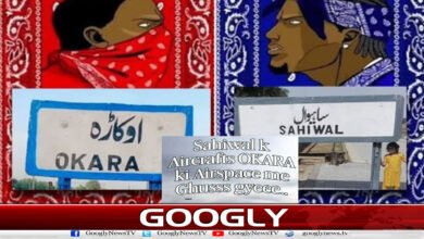 ساہیوال اور اوکاڑہ میں ’جنگ‘ چھڑ گئی، ’میمز‘ میزائل اور ’طنز‘ ڈرونز کے حملے 5 website Pic 1 37