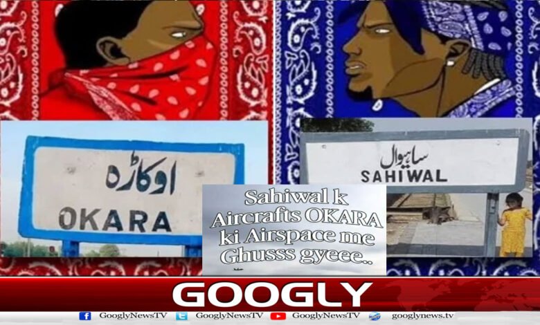 website Pic 1 37