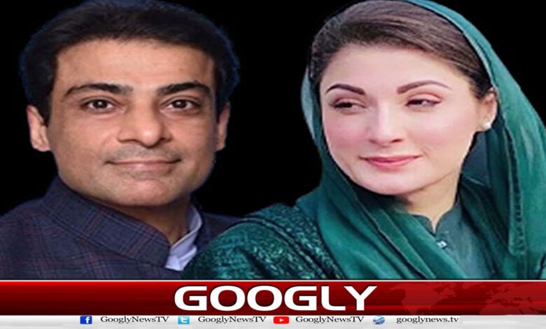 website Pic 1 copy 17