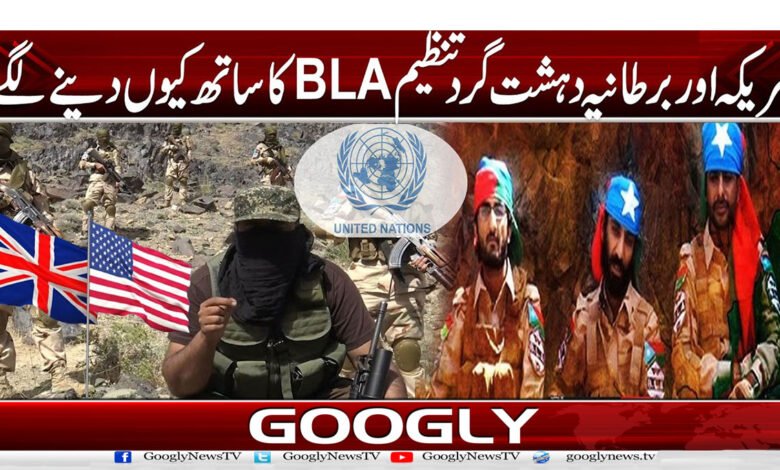 امریکہ اور برطانیہ دہشت گرد تنظیم BLA کا ساتھ کیوں دینے لگے؟ 1 website Pic 1 copy 24