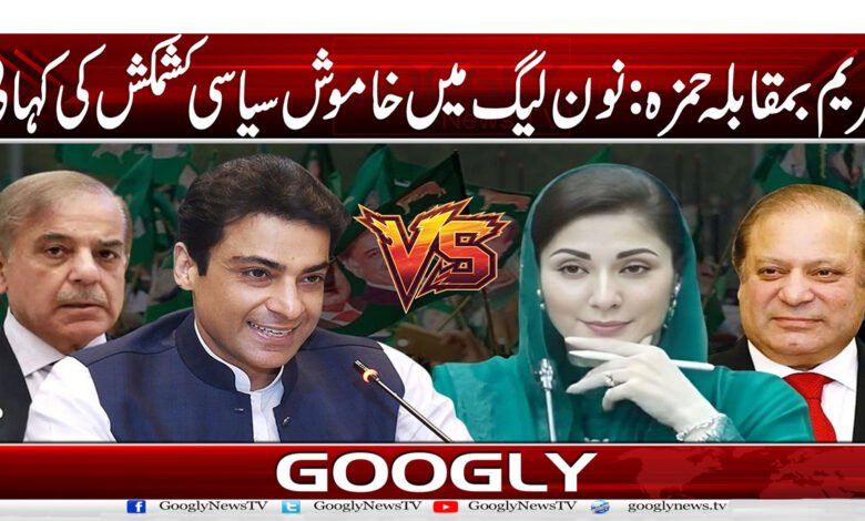 مریم بمقابلہ حمزہ: نون لیگ میں خاموش سیاسی کشمکش کی کہانی 1 website Pic 1 copy 25