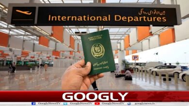 وزٹ اور سٹڈی ویزوں کے لبادے میں یورپ جانے کا خفیہ نیٹ ورک بے نقاب 2 website Pic 1 copy 28