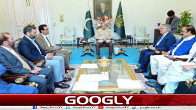 ایم کیو ایم وزیر اعظم سے کون سے مطالبات منوانے میں کامیاب رہی؟ 5 website Pic 1 copy 49