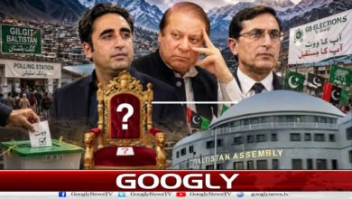 گلگت بلتستان الیکشن: آزاد امیدوار’کنگ میکر‘کیسے بنے؟ 2 website Pic 1 copy 63