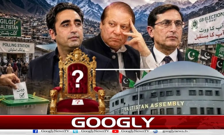 گلگت بلتستان الیکشن: آزاد امیدوار’کنگ میکر‘کیسے بنے؟ 1 website Pic 1 copy 63