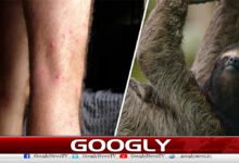 Scientists warn of another deadly virus