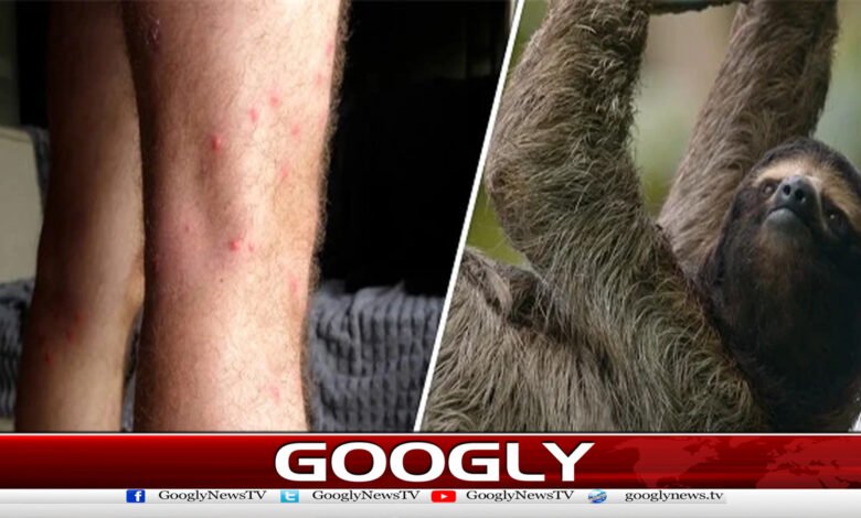 سائنس دانوں نے ایک اور مہلک وائرس سے خبردار کر دیا 1 Scientists warn of another deadly virus