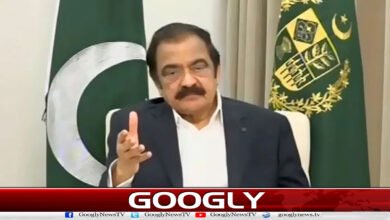 Large number of terrorists killed in Balochistan operation: Rana Sanaullah