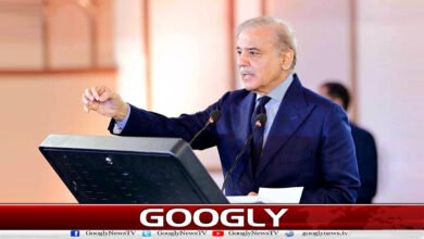 India is behind the terrorism in Pakistan: Prime Minister