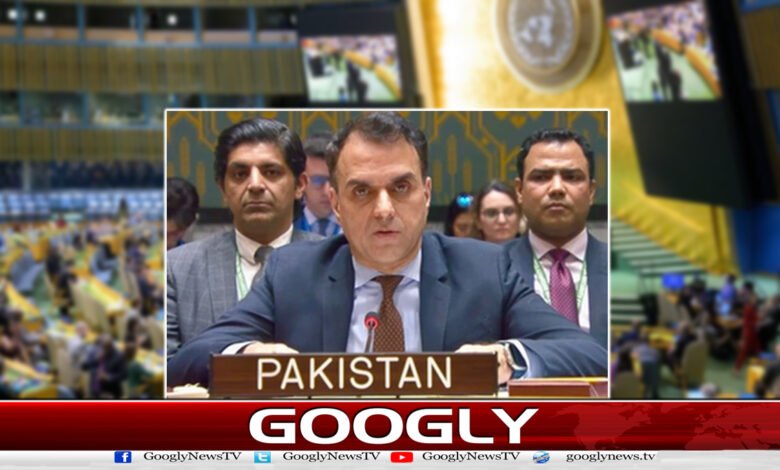 پاکستان کی سعودی عرب پر حوثیوں کے بیلسٹک میزائل حملوں کی شدید مذمت 1 Pakistan strongly condemns Houthi ballistic missile attacks on Saudi Arabia.