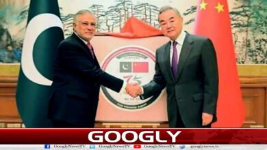 پاکستان اور چین امن اور مشترکہ خوش حالی کام کرتے رہیں گے: اسحاق ڈار 2 Pakistan and China will continue to work for peace and shared prosperity: Ishaq Dar
