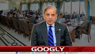 The possibility of changes in the federal cabinet and the inclusion of young and new faces