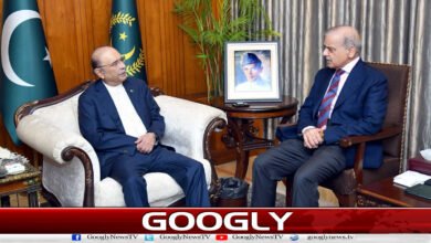 یوم شہدائے کشمیر : پاکستان ہرحال میں کشمیریوں کے شانہ بشانہ کھڑا رہے گا۔ صدر، وزیراعظم 5 Kashmir Martyrs' Day: Pakistan will stand shoulder to shoulder with Kashmiris under all circumstances – President, Prime Minister.