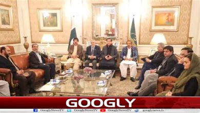 Azad Kashmir election dispute: People's Party and PML-N hold important meeting, agree to reduce tension