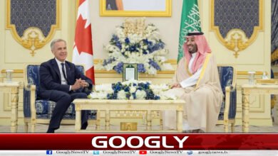 3 . سعودیہ اور کینیڈا کی آبنائے ہرمز
